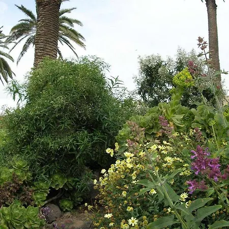 Sleeps 4 Wifi Appartement Haría